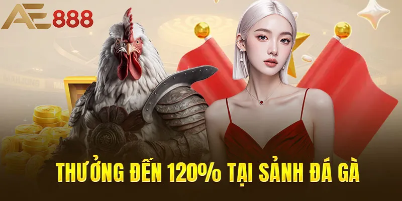 Tặng thưởng lên đến 120% sảnh chọi gà