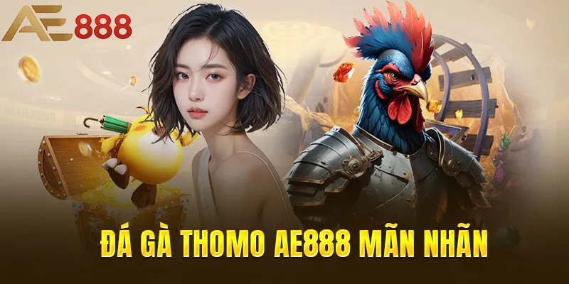 Đá gà Thomo AE888 mãn nhãn